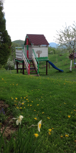 IMG-3338