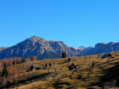Vârful Gorganu