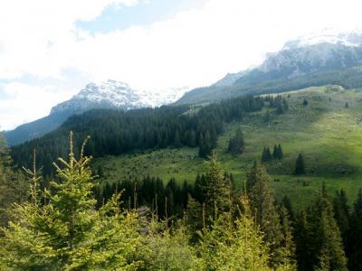 Guţanu Peak