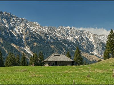 Frumoasă Meadow