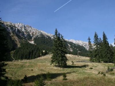 Vlăduşca Meadow