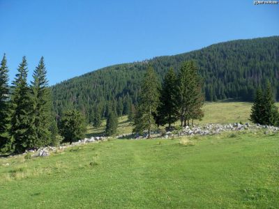 Punct Belvedere Poiana Zănoaga