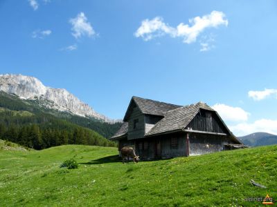 Guţanu Prairie