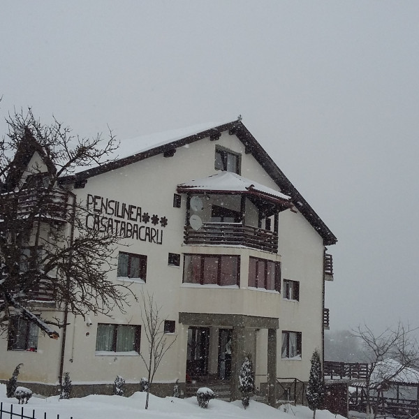 poze-nicoleta-961
